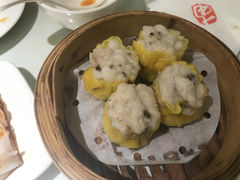 -南枝记