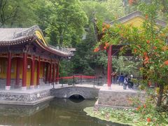 -华清宫景区