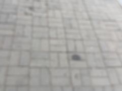 -星河湾温泉洗浴酒店