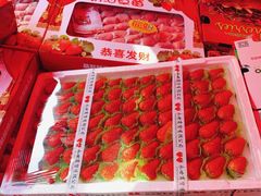 -红星农博物流中心