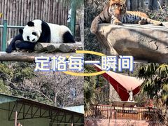 -红山森林动物园