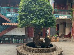 -云南古玩城(护国路店)