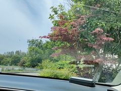 -敬亭山风景名胜区