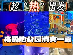 -西安曲江海洋极地公园
