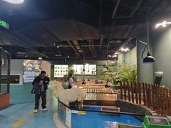 -上海大自然野生昆虫馆(东方明珠·爬宠昆虫探索中心)
