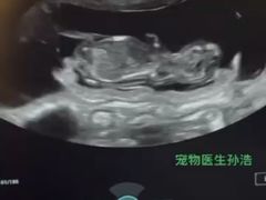 -爱派特动物医院·全科诊疗中心