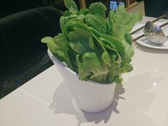-浩爷羊蝎子火锅(望京店)