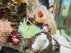 -太平洋海底世界