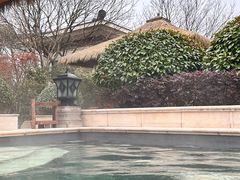 -苏州湾·王焰温泉