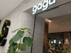 -gaga(北京新中关购物中心店)