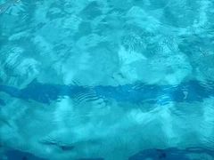 -飞鲨游泳培训学校
