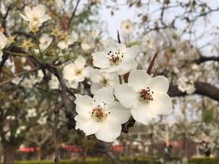 -赵州桥景区