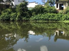 -婺源梦里老家大型山水实景演出