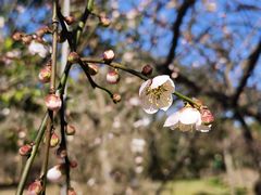 -蜀冈西峰生态公园