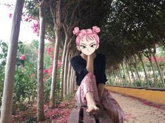 -武汉紫薇都市田园