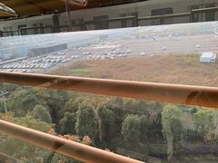 -康新公路(地铁站)