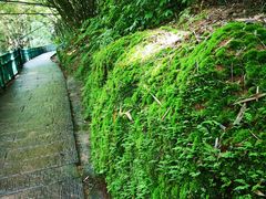 -四洞沟景区