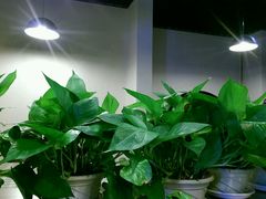 -乡间好味私家菜(总店)