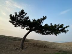 -恋山坝上草原