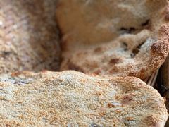 -徐记红川肉烧饼