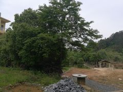 -龙门谷景区