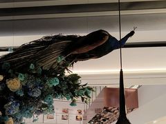 -雀蓝川菜(滨湖万象汇店)