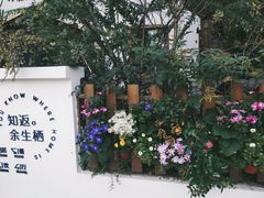 -三圣花乡旅游区