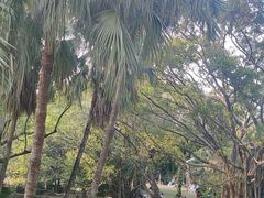 -人民公园(罗湖区)