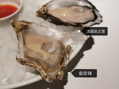 -Oyster Talks 四度蚝法餐厅