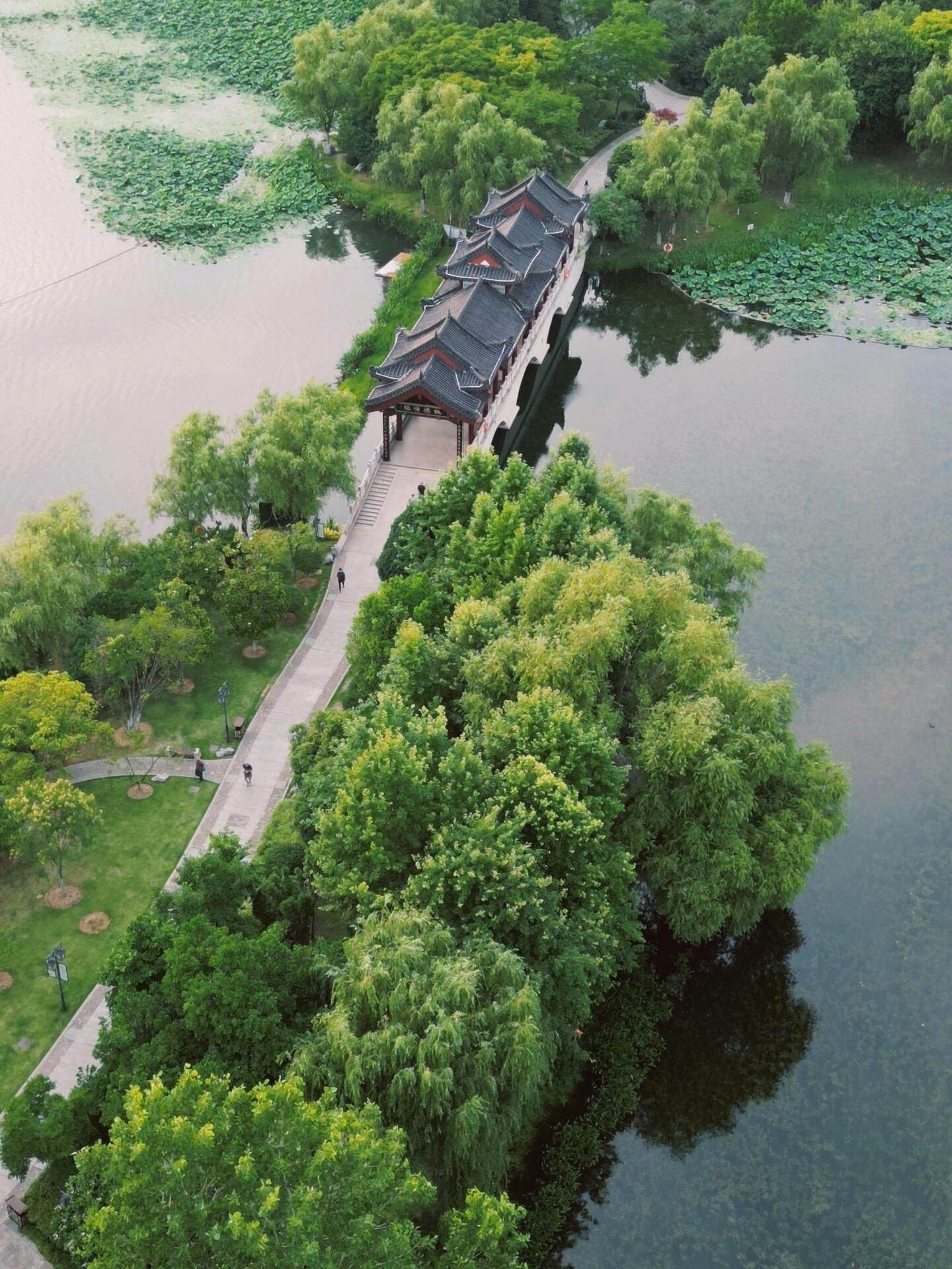 在武汉!被严重低估的江南园林!