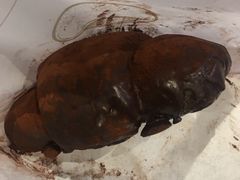 帝王蕉脏脏包-LELECHA乐乐茶(上海五角场万达广场店)