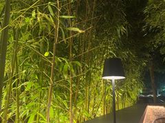 -金谷仓家庭料理(马泉营店)