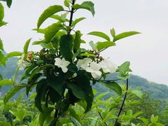 -南山风景名胜区