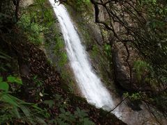 -东天目山风景区