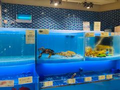 -city'super超·生活(国金中心商场店)