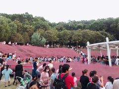 -牛岗山公园
