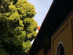 -迎江寺