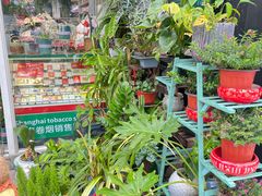 -FEI FEI FLOWER鲜花店·气球派对·宝宝宴布置(虹口德必运动Loft店)