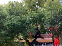 -宝通禅寺