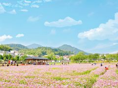 -红山村