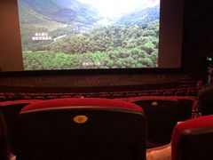 -万达影城(虎门万达广场IMAX店)