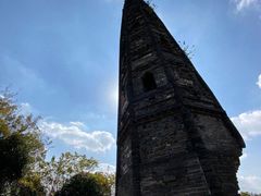 -上海佘山国家森林公园天马山园