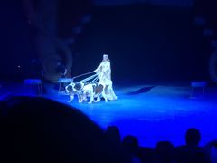 -珠海横琴长隆《卡卡虎奇遇记》