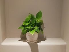 -打趸BTC·Breaktime cafe(北京路店)