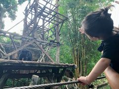 -长鹿旅游休博园