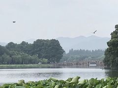 -西湖游船