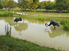 -紫颐香薰山谷景区
