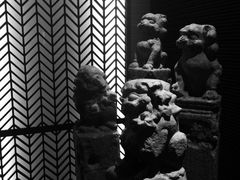 -梧桐餐厅(泉城路店)