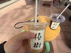 -椿树咖啡