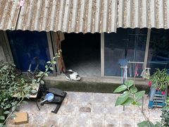 -山城巷传统风貌区